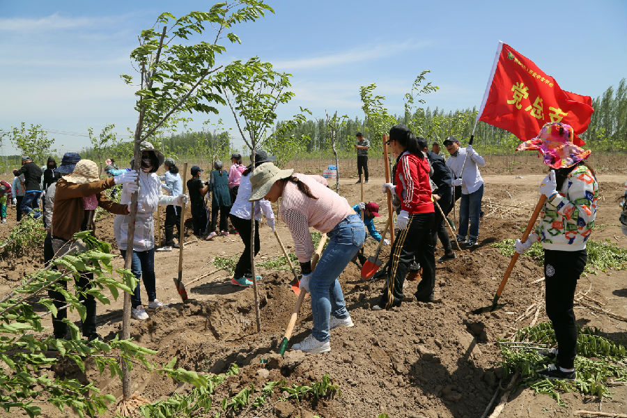 1N1A1492_爱奇艺.jpg