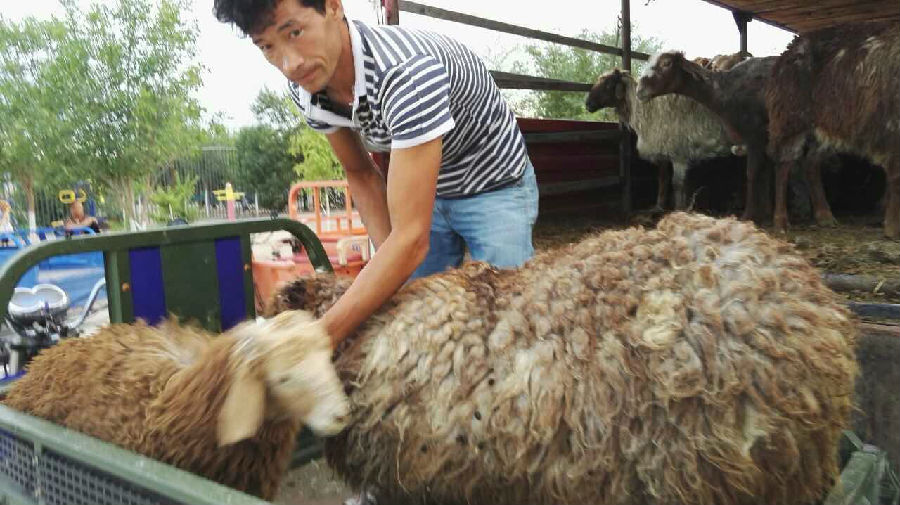 QQ图片20160621104504.jpg