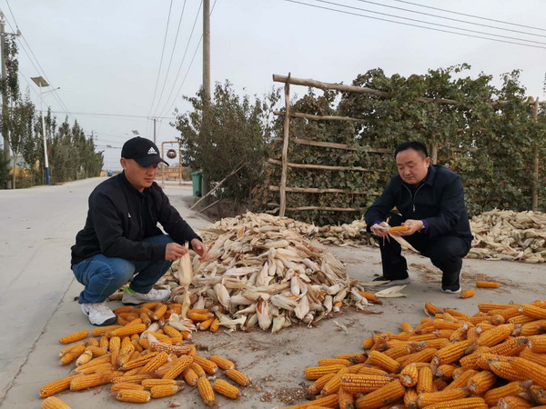 第二篇2.jpg